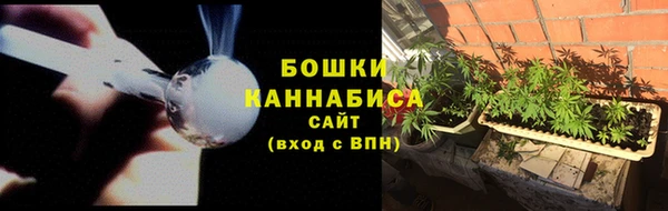 дмт Белокуриха