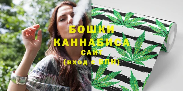 дмт Белокуриха