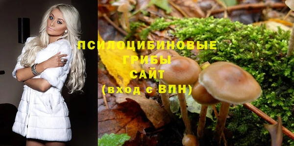 первитин Белоозёрский